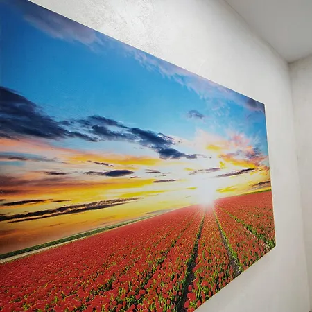 Tulip Aparts Pamporovo